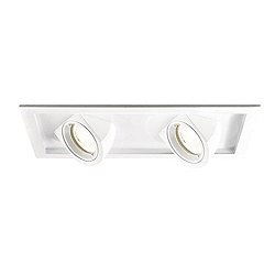 Tesla 2 Light LED Recessed Multiple Spot Trim